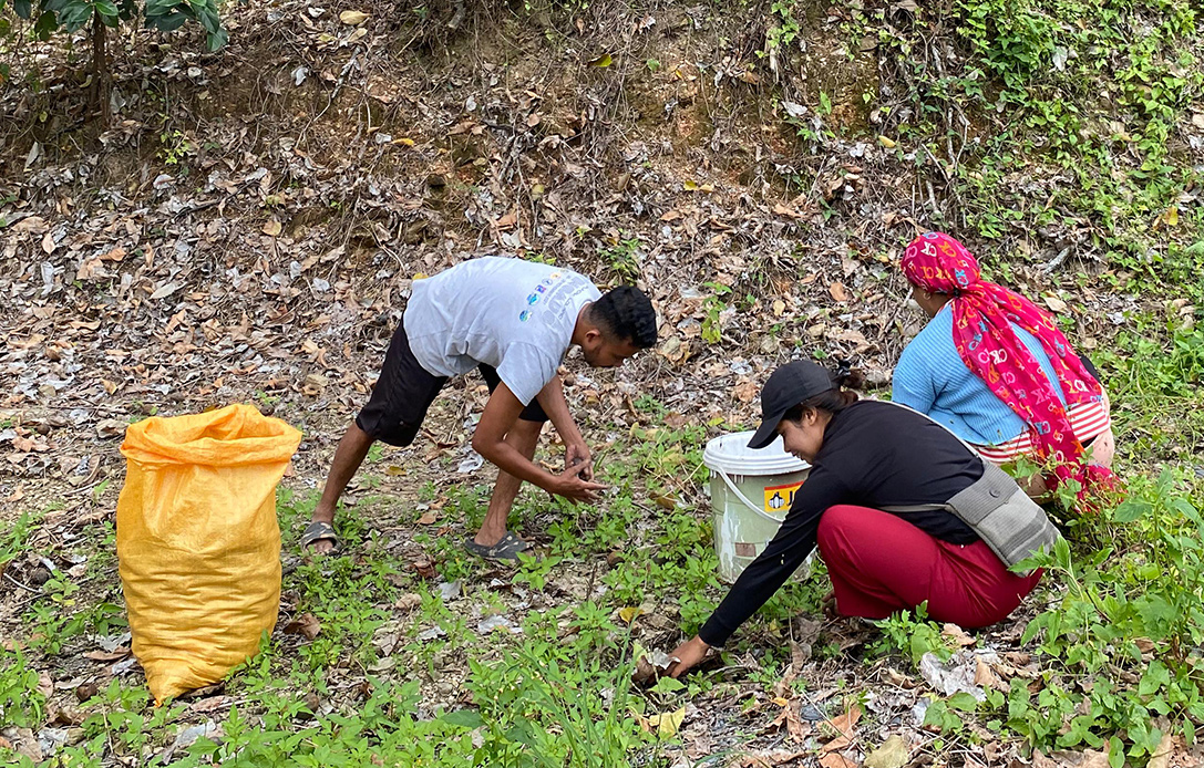 Drei Personen sammeln in einem bewaldeten Hangbereich Pflanzen oder Kräuter und beugen sich dabei zum Boden. | © ADRA Indonesien