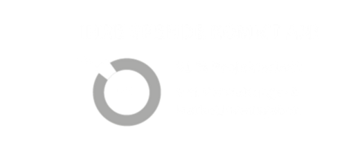 Spendenaufteilung: 91% Projektarbeit und 9% Verwaltungs- und Marketingausgaben