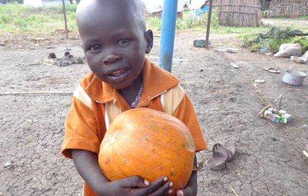Ein orange gekleideter kleiner Junge hält einen Kürbis in den Armen