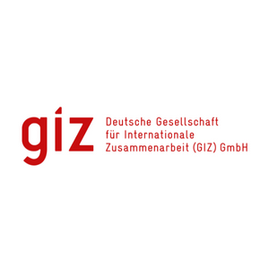 Deutsche Gesellschaft für internationale Zusammenarbeit GmbH Logo