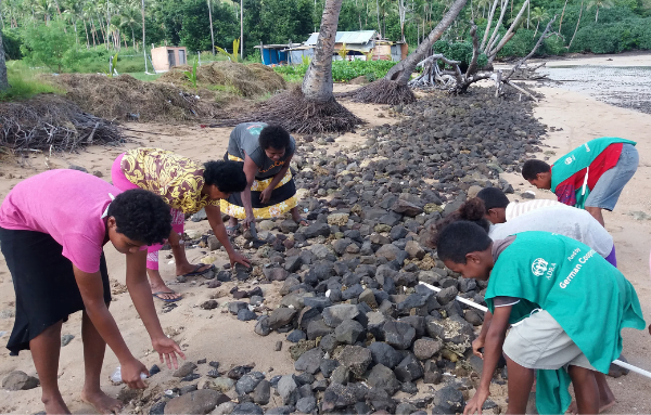 Eine Gruppe von Einwohnern der Insel Fidschi sichert die Küste mit großen Steinen ab
