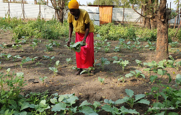Eine Frau aus dem Südsudan steht in einem Feld und erntet reichhaltiges Gemüse. Ihr starkes Engagement für nachhaltige Landwirtschaft und Selbstversorgung spiegelt sich in diesem beeindruckenden Bild wider.