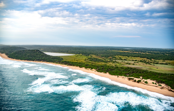 Maputo Nationalpark entlang der Küste mit Dünen in Mosambik