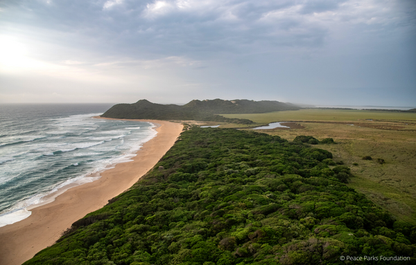 Die Küste des Maputo Nationalparks in Mosambik