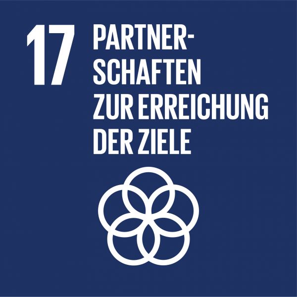 Icon für SDG 17 „Partnerschaften“ – blaues Quadrat mit verschlungenen Kreisen