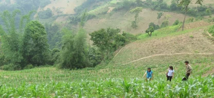 Landwirtschaft in Vietnam, drei Menschen begehen ein Feld