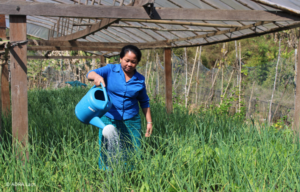 Eine Frau aus Laos bewässert ihre Ernte mit einer Gießkanne.