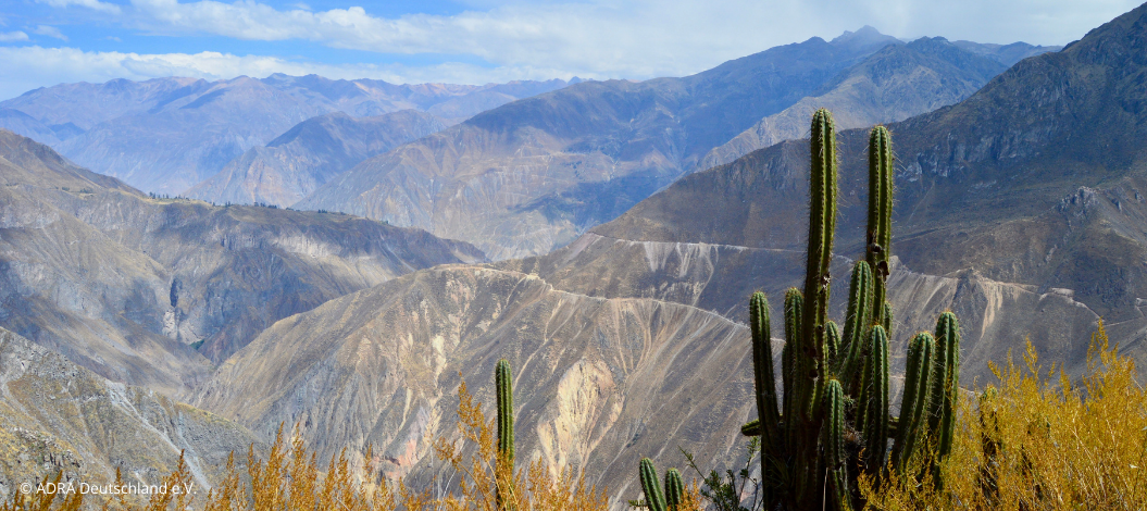 Eine atemberaubende Landschaft von Peru zeigt im Hintergrund majestätische Berge und im Vordergrund lange Kakteen