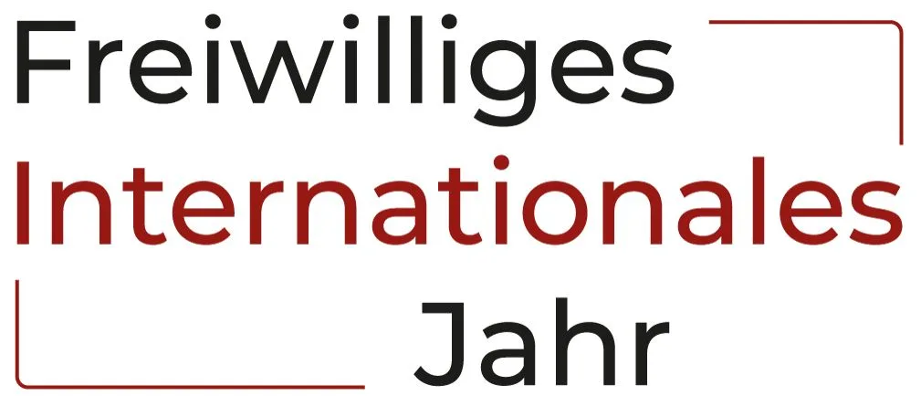 Freiwilliges Internationales Jahr, Logo in Farbe