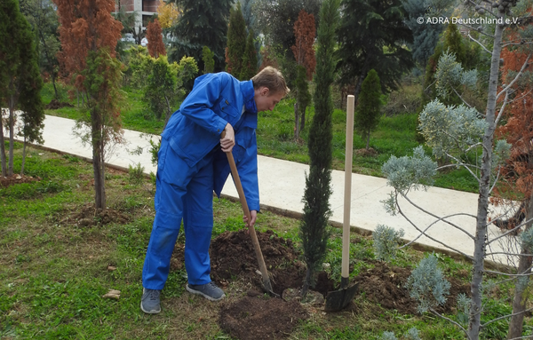 Ein Freiwilliger pflanzt Bäume während seines Freiwilligen Sozialen Jahres (FSJ) in Albanien.