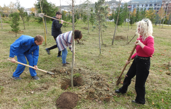 Ein Freiwilliger pflanzt zusammen mit drei weiteren jungen Menschen Bäume während seines Freiwilligen Sozialen Jahres (FSJ) in Albanien."