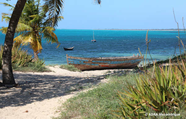 Ein Boot an der Küste Mosambiks