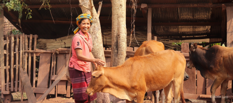 ADRA stärkt in Phoukhoud, Laos, 10.258 Menschen mit klimaangepasstem Saatgut, nachhaltigen Methoden und Viehzucht