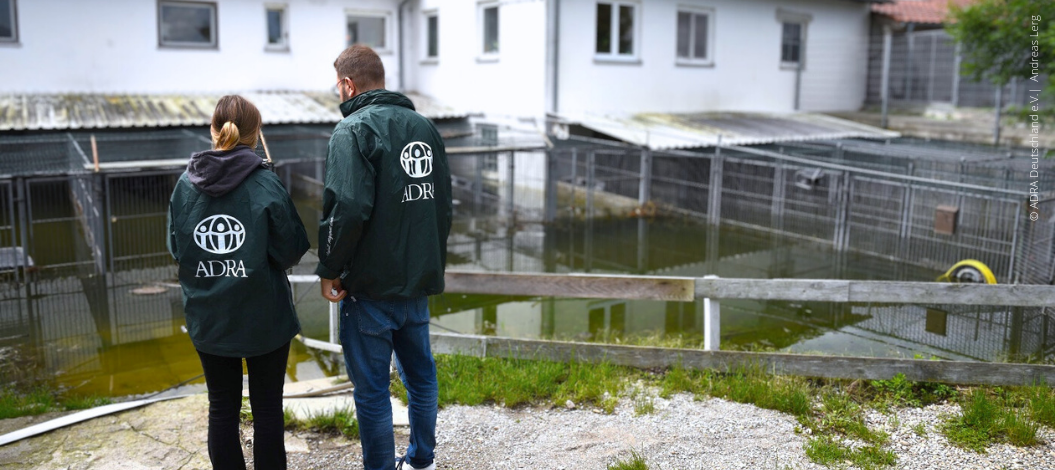 Schwer getroffen hat es das Tierheim in Hamlar. Die Keller der Gebäude, in dem sich auch die Heizung befindet, stehen noch immer unter Wasser. Das darf bisher nicht abgepumpt werden, da durch das stark angestiegene Grundwasser Fundamente und Bodenplatte der Gebäude brechen und dann alles einstürzen könnte. Das Hochwasser muss also als „Gegenwicht“ im Keller bleiben, bis diese Gefahr nicht mehr besteht. Die Heizung ist ein Totalschaden, auch die Elektrik hat schweren Schaden genommen. (Foto: ADRA Deutschland e.V. Andreas Lerg)