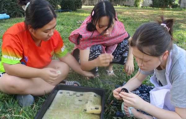 Drei Mädchen sitzen auf einer Wiese und untersuchen gemeinsam ein Tablett mit Keimlingen für ein Pflanzprojekt in Thailand