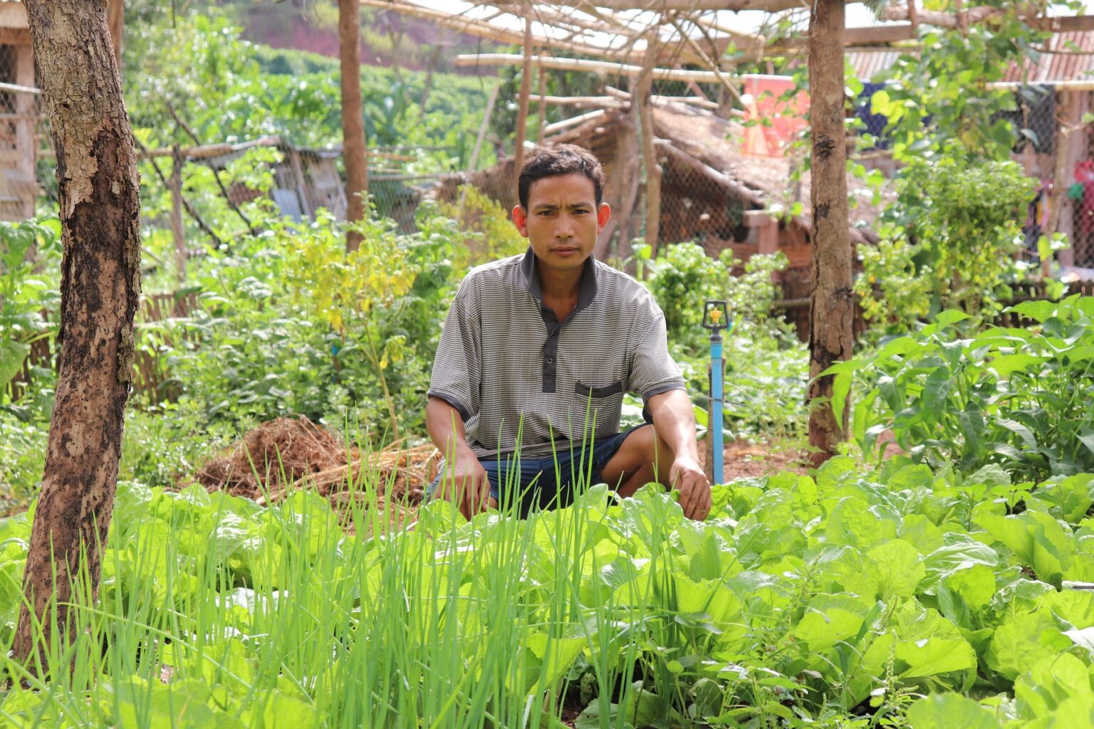 Ein Bauer aus Laos sitzt in der Hocke hinter seiner nachhaltigen Ernte von Gemüse und Getreide. Er blickt stolz auf die Früchte seiner Arbeit, die durch umweltfreundliche Anbaumethoden unterstützt wird.