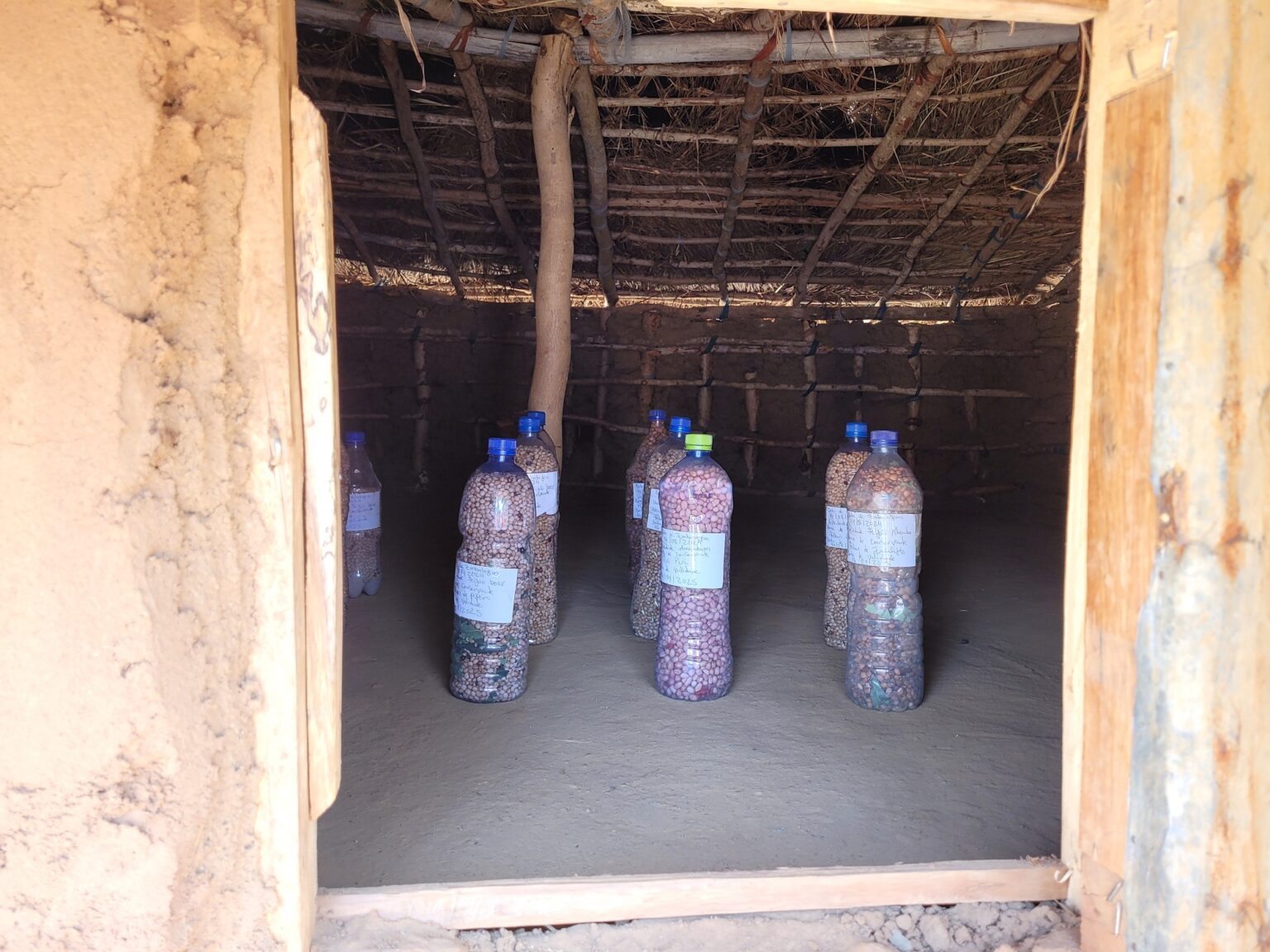 Innenraum einer einfachen Lehmhütte mit mehreren großen Plastikflaschen, die mit verschiedenen Samensorten gefüllt sind.