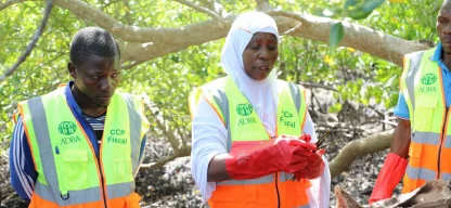 Drei ADRA-Mitarbeiter:innen aus Mosambik stehen in einem Waldstück und betrachten nachhaltige Forstwirtschaft. Eine Frau in der Mitte hält eine Wurzel in der Hand, was auf Aufforstungsmaßnahmen und den Schutz von natürlichen Ressourcen hinweist.
