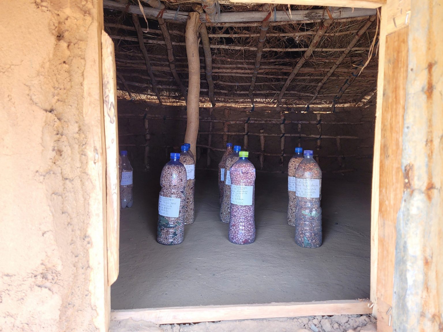 Innenraum einer einfachen Lehmhütte mit mehreren großen Plastikflaschen, die mit verschiedenen Samensorten gefüllt sind.