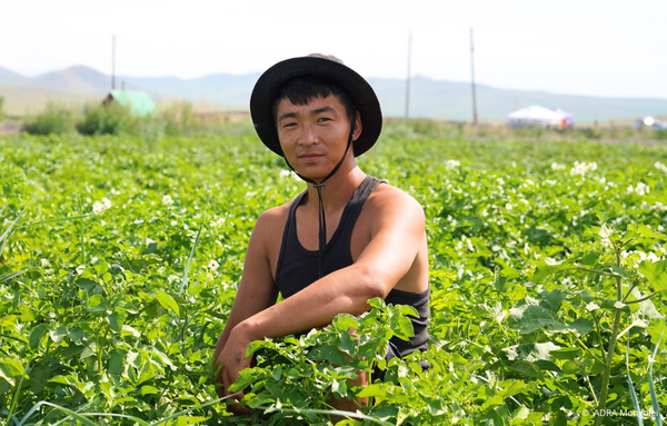 Ein Mann aus der Mongolei steht auf einem weiten Feld und schaut direkt in die Kamera. Im Hintergrund erstreckt sich die Landschaft