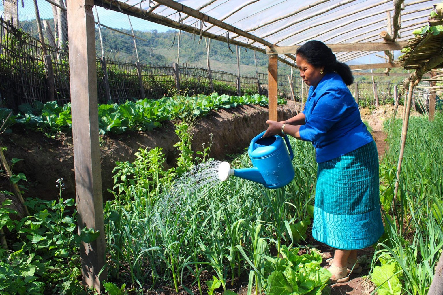 Frau wässert Pflanzen mit einer Gießkanne