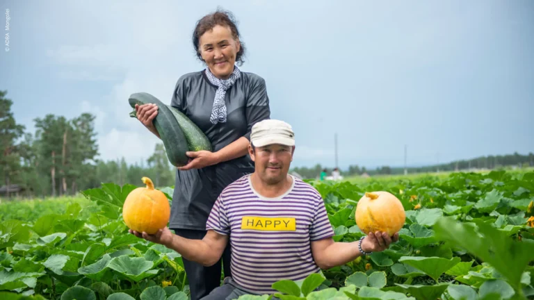 Mongolisches Bauernpaar im grünen Feld zeigt stolz frisch geerntete Kürbisse und Zucchini – ADRA-Projekt zur Ernährungssicherheit
