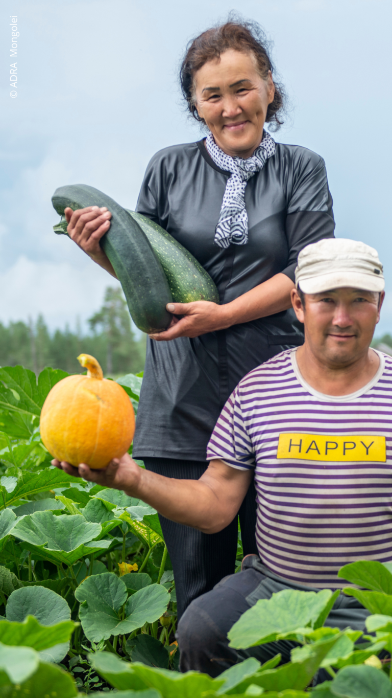 Mongolisches Bauernpaar im grünen Feld zeigt stolz frisch geerntete Kürbisse und Zucchini – ADRA-Projekt zur Ernährungssicherheit