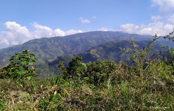 Berglandschaft mit dichter Vegetation in Marawola Barat, Bezirk Sigi, Zentral-Sulawesi, Indonesien – Teil der Region, in der ADRA nachhaltige Aufforstungs- und Klimaschutzprojekte durchführt.