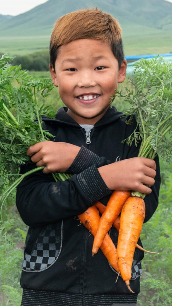 Junge steht mit geernteten Möhren im Feld und lächelt | © ADRA Mongolei