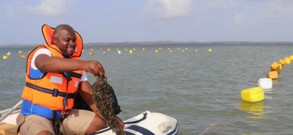 Nachhaltige, bestandsschonende Fischfangmethoden sichern langfristig Nahrung und Einkommen. (Foto: Peace Parks Foundation)