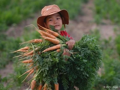 Ernten, was man sät