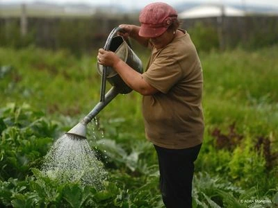 Verbessertes Saatgut
