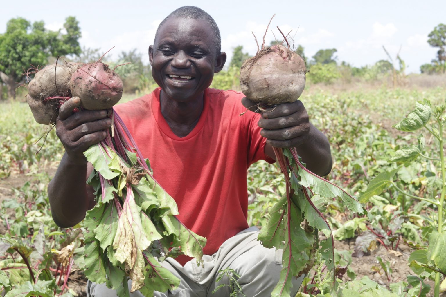 Wenn Menschen sich selbst durch Landwirtschaft mit Nahrungsmitteln versorgen können, lässt sich Hunger bekämpfen. Zudem erwächst daraus auch vor Ort eine Einnahmequelle für wirtschaftliche Unabhängigkeit. (Foto: ADRA Mosambik)