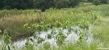 Überschwemmte landwirtschaftliche Flächen in Mosambik zeigen die Folgen heftiger Regenfälle und Unwetter.