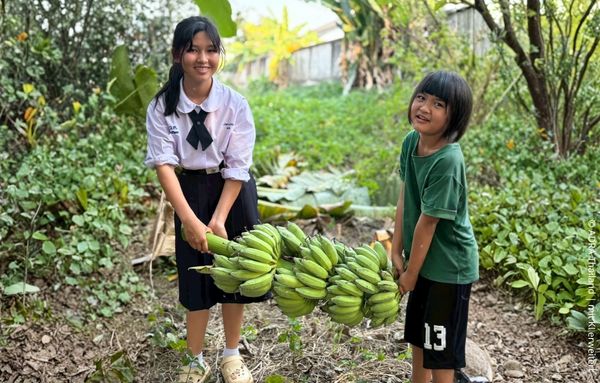 Zwei Mädchen tragen gemeinsam eine Bananenstaude im Garten der ADRA-Schutzeinrichtung in Nordthailand.