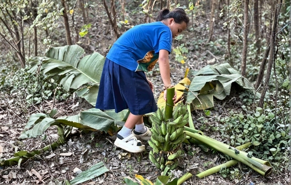 Ein Mädchen beteiligt sich an einer landwirtschaftlichen Ausbildungsaktivität im ADRA-Projekt in Chiang Rai, Thailand.