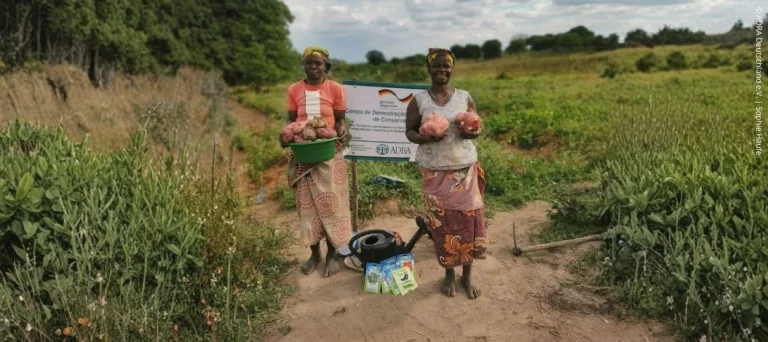 Zwei Frauen mit geernteten Süßkartoffeln auf einem Feld in Nordmosambik.