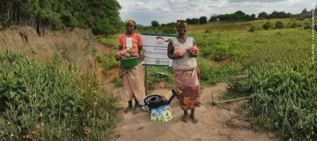 5050028_Bessere-Lebens-und-Einkommenschancen-fuer-benachteiligte-Frauen-in-Mosambik-header Zwei Frauen mit geernteten Süßkartoffeln auf einem Feld in Nordmosambik.