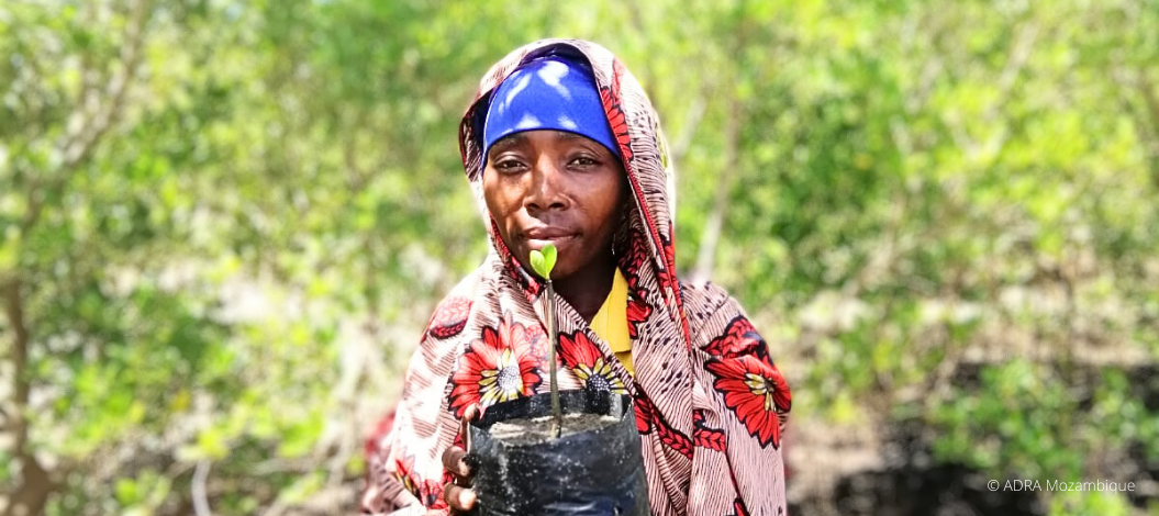 Eine-Frau-in-Mosambik-hält-einen-mangroven-setzling-in-der-hand