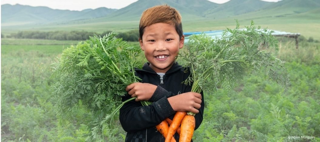 Junge steht mit geernteten Möhren im Feld und lächelt | © ADRA Mongolei