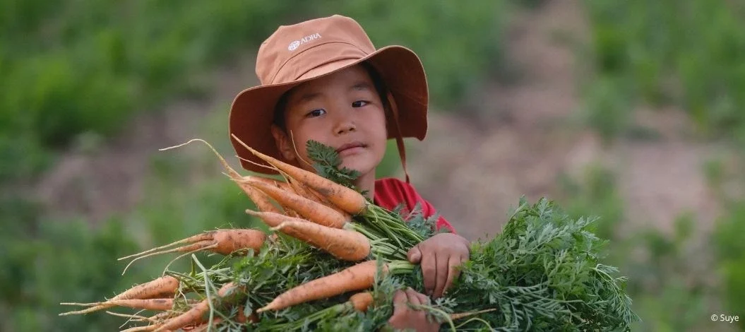 Kind mit Sonnenhut hält frische Karotten auf einem Feld in der Mongolei.
