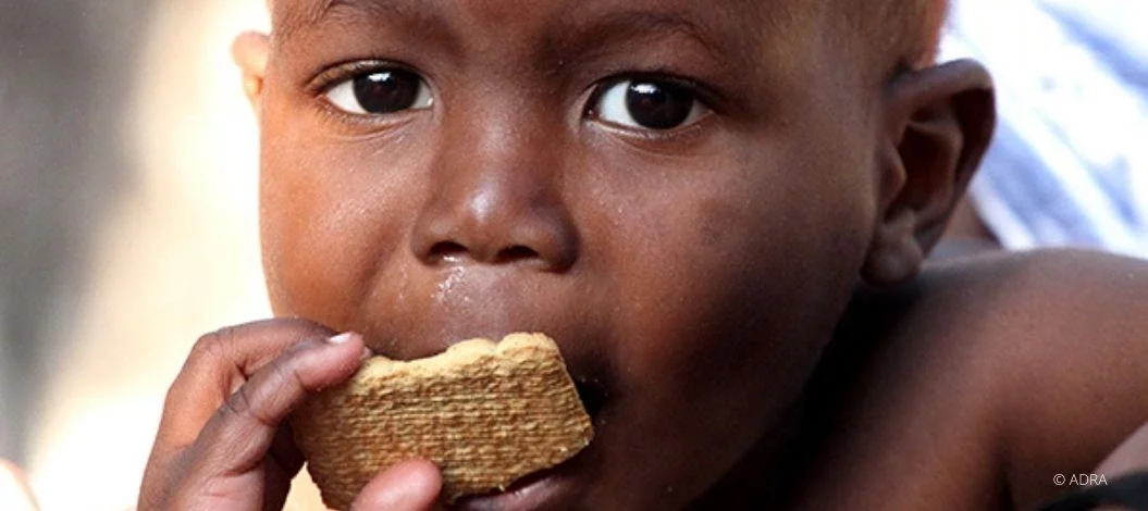 Ein kleines Kind hält einen Keks in der Hand und beißt hinein. Es blickt direkt in die Kamera. Der Hintergrund ist unscharf.