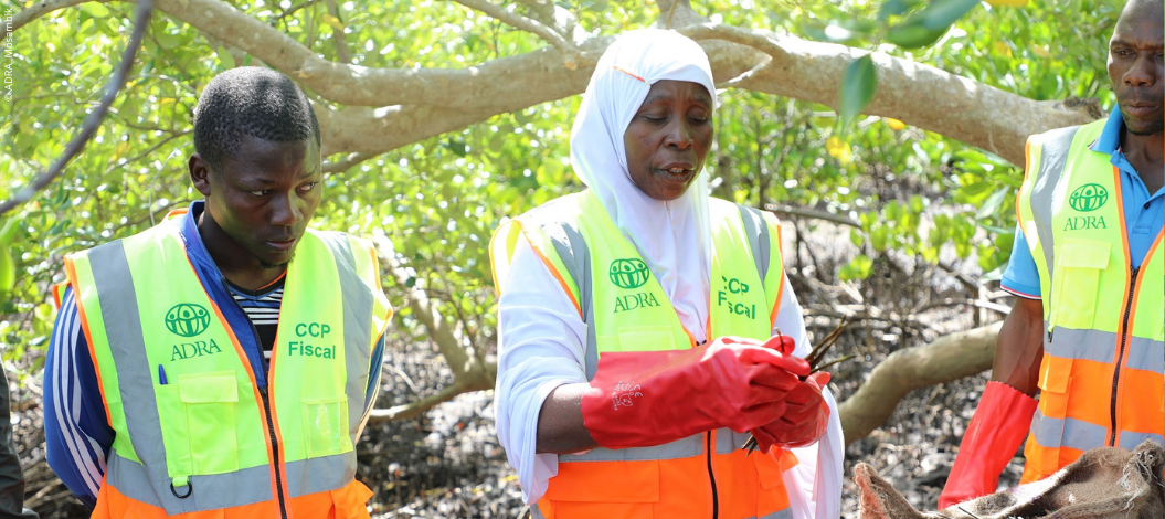 Drei ADRA-Mitarbeiter:innen aus Mosambik stehen in einem Waldstück und betrachten nachhaltige Forstwirtschaft. Eine Frau in der Mitte hält eine Wurzel in der Hand, was auf Aufforstungsmaßnahmen und den Schutz von natürlichen Ressourcen hinweist.
