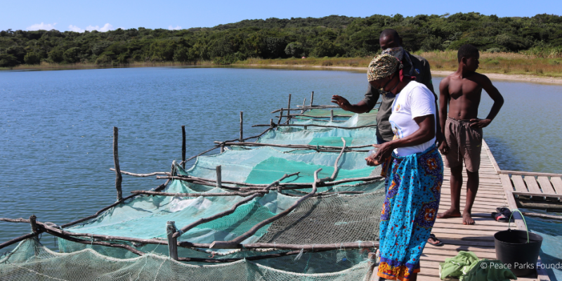 Die nachhaltige Fischfarm in Mosambik