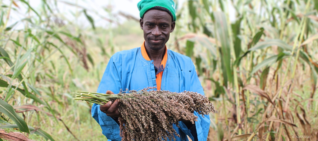 Ein Mann aus Mali steht auf einem Feld und hält stolz ein Bündel Hirse in der Hand, symbolisch für die landwirtschaftliche Arbeit und die Ernte in der Region.