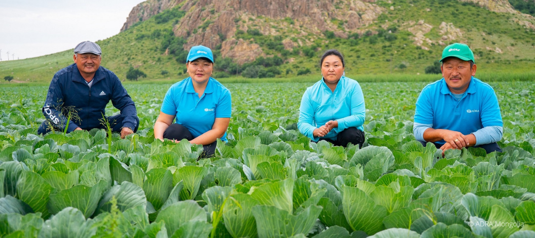 Mongolische Bauernfamilie lernt mit ADRA Bio-Anbau, nutzt moderne Technik und Saatgut für besseres Einkommen.