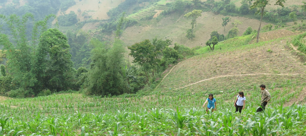 Landwirtschaft in Vietnam, drei Menschen begehen ein Feld