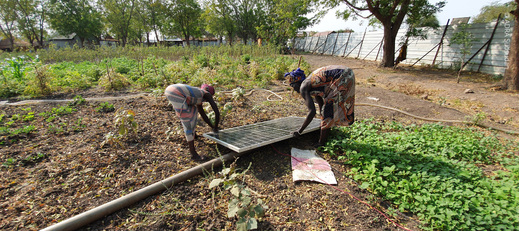 Zwei engagierte Frauen aus dem Südsudan stehen voller Entschlossenheit inmitten eines grünen Feldes und errichten eine beeindruckende Solaranlage. Ihr Einsatz für nachhaltige Energie und ihre Fähigkeit, Technologie zu nutzen, um positive Veränderungen voranzutreiben, sind in diesem inspirierenden Bild deutlich sichtbar.
