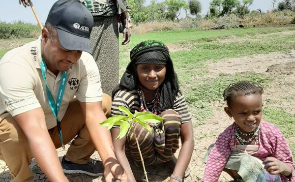 ADRA-Mitarbeiter sitzt zusammen mit zwei Kindern in der Hocke und pflanzen gemeinsam Setzling ein. Dahinter steht ein Mann der die drei beobachtet