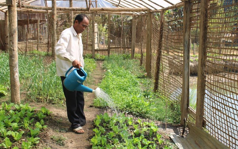 Mann wässert Pflanzen in einem Gewächshaus in Laos